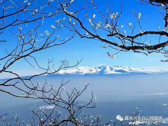 探索怎样判断膨胀阀坏没坏永恒之柱2